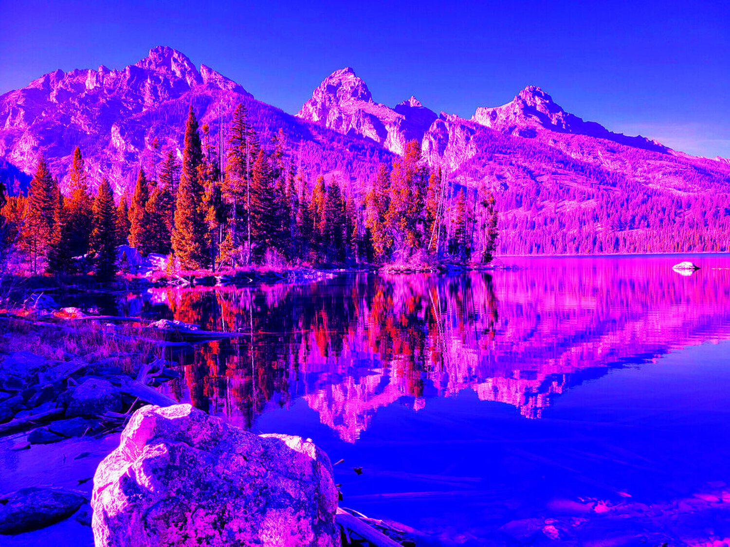 Tetons, WY (IV) Peter Sahlman Fotografie zu verkaufen