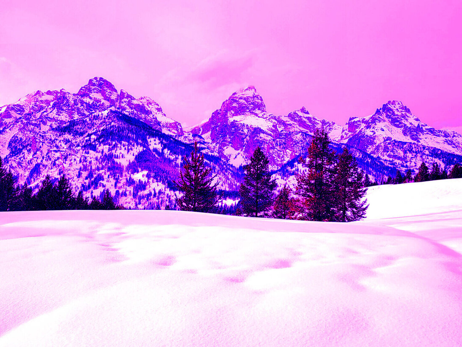 Tetons, WY (II) Peter Sahlman Fotografie zu verkaufen