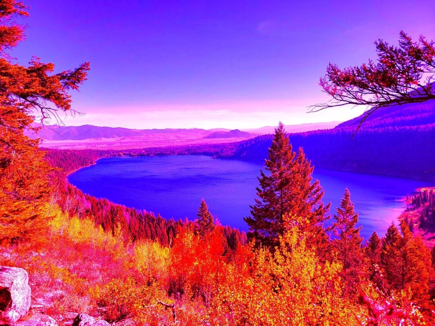 Phelps Lake, WY Peter Sahlman Fotografie zu verkaufen