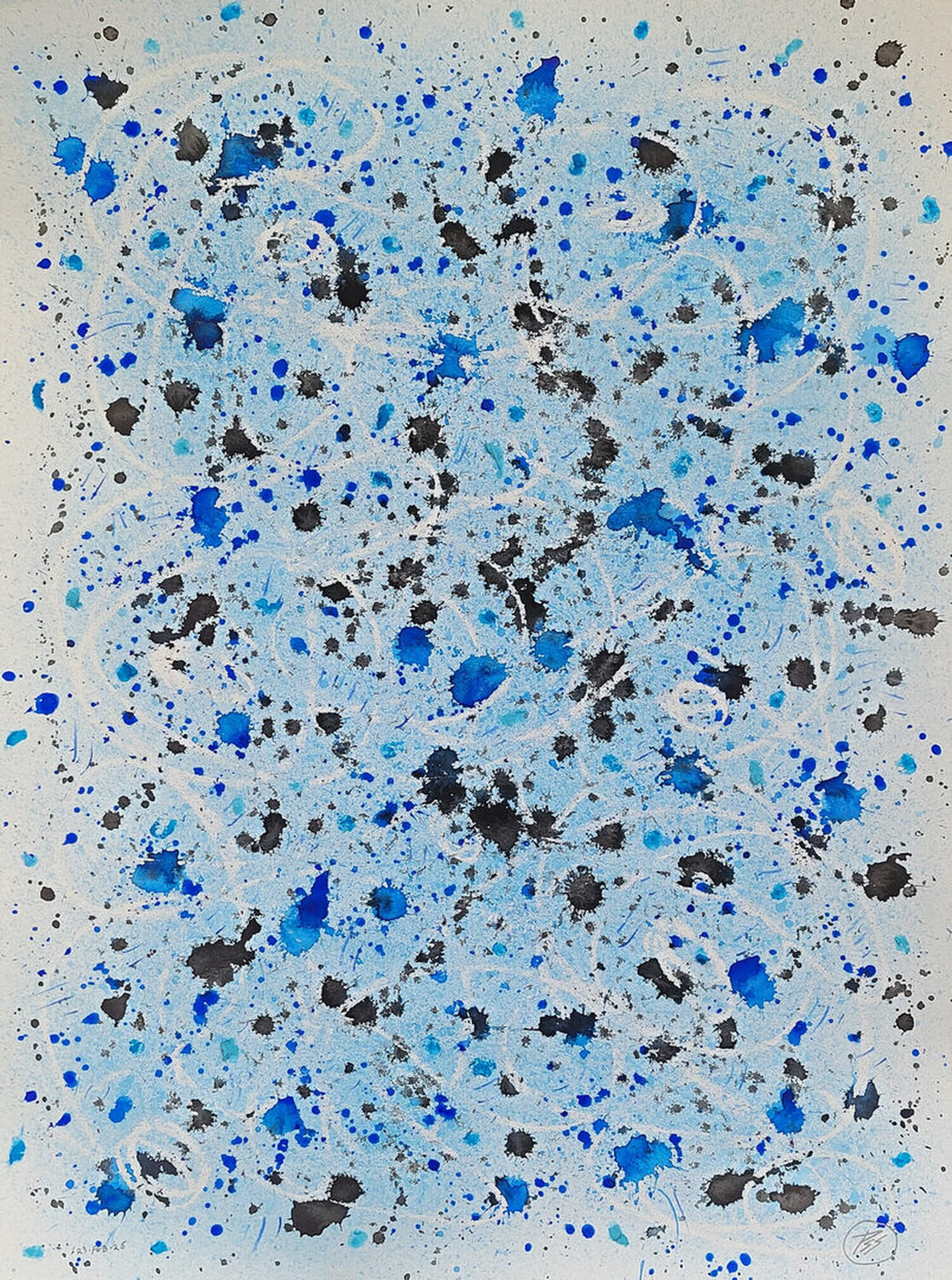 Cryptochromic Photolyasic Axons XIII  Peter Sahlman Opera su carta in vendita