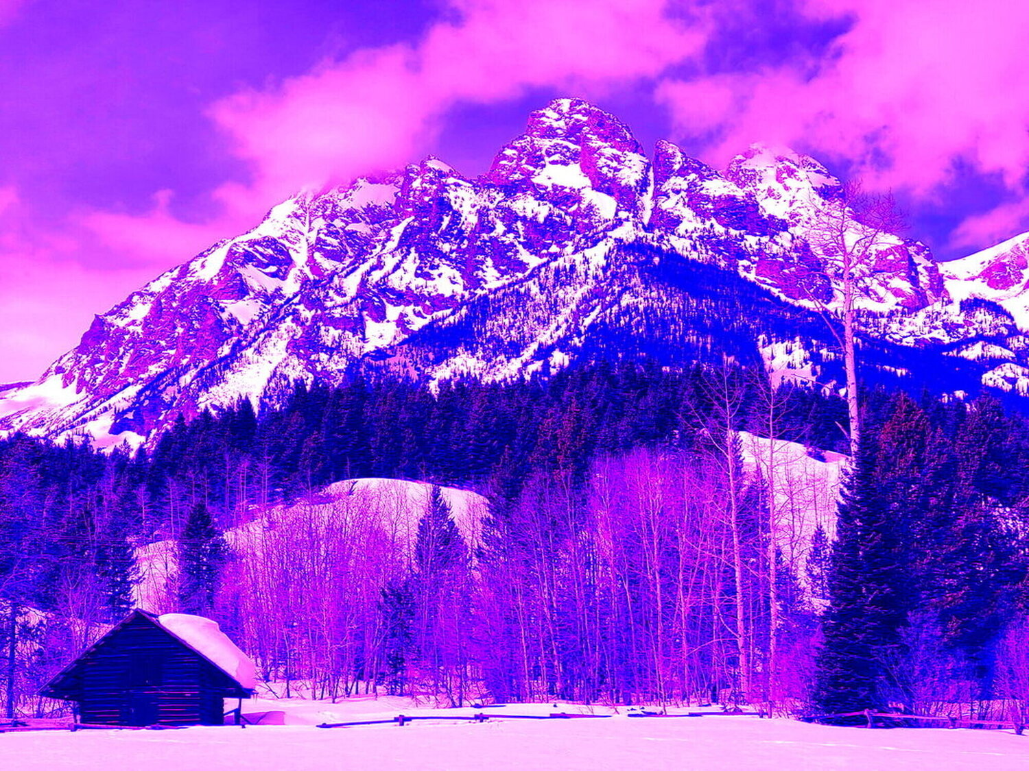 Tetons Pink VI Peter Sahlman Fotografia in vendita