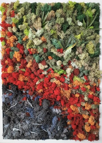 CO_2_"the beauty of destruction" van Martina Hartusch, Andere media te koop op Singulart
