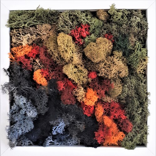 moss_1 von Martina Hartusch, Malerei kaufen auf Singulart