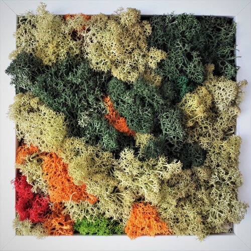 moss_3 von Martina Hartusch, Malerei kaufen auf Singulart