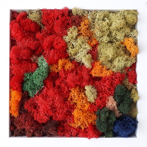 moss_5 di Martina Hartusch, Pittura in vendita su Singulart