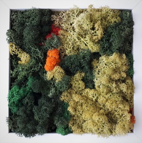 moss_6 by Martina Hartusch, Painting for Sale on Singulart