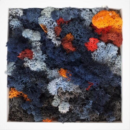 moss_7 di Martina Hartusch, Pittura in vendita su Singulart