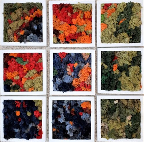 moss_1-9 di Martina Hartusch, Pittura in vendita su Singulart