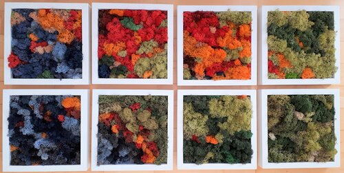 moss_1-8 Martina Hartusch