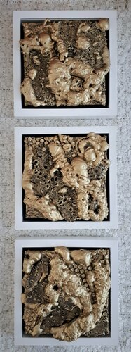 Golden 3 par Martina Hartusch, Peinture en vente sur Singulart