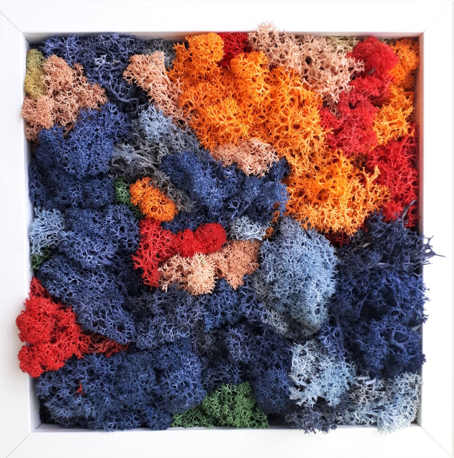 moss_8 Martina Hartusch