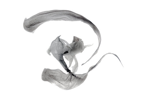 Calligraphy, 43 di Yuri Brodsky, Fotografia in vendita su Singulart