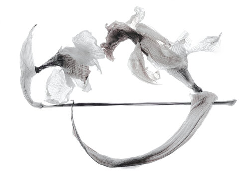 Calligraphy, 41 von Yuri Brodsky, Fotografie kaufen auf Singulart