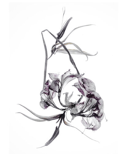 Calligraphy, 9 par Yuri Brodsky, Photographie en vente sur Singulart