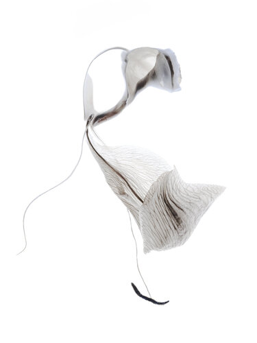 Calligraphy, 82 par Yuri Brodsky, Photographie en vente sur Singulart