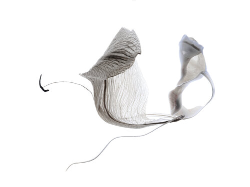 Calligraphy, 83 von Yuri Brodsky, Fotografie kaufen auf Singulart