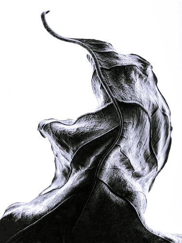 "Calligraphy", 36 di Yuri Brodsky, Fotografia in vendita su Singulart
