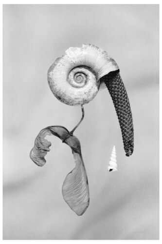 Calligraphy. 2000. 4 par Yuri Brodsky, Photographie en vente sur Singulart