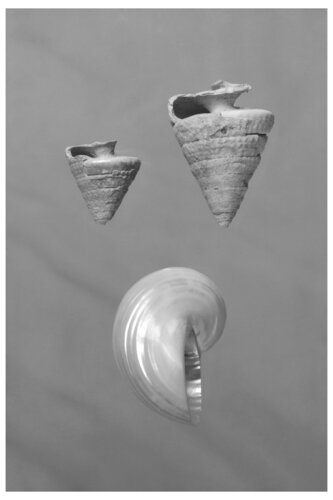 Calligraphy. 2000. 12 di Yuri Brodsky, Fotografia in vendita su Singulart