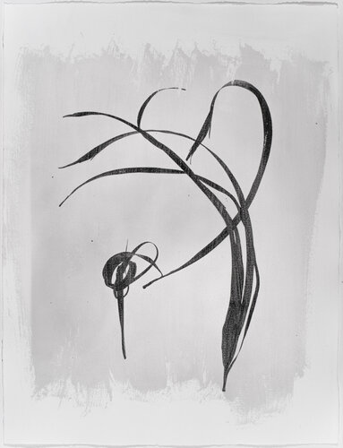 Calligraphy 2012-2013 27 1 par Yuri Brodsky, Photographie en vente sur Singulart