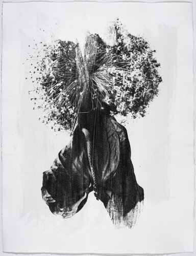 Herbarium . 2004. 14 von Yuri Brodsky, Fotografie kaufen auf Singulart