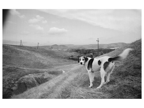 Transition 20 1992 par Yuri Brodsky, Photographie en vente sur Singulart