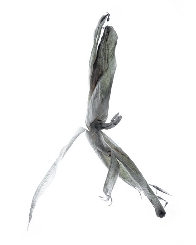 "Calligraphy", 11 par Yuri Brodsky, Photographie en vente sur Singulart