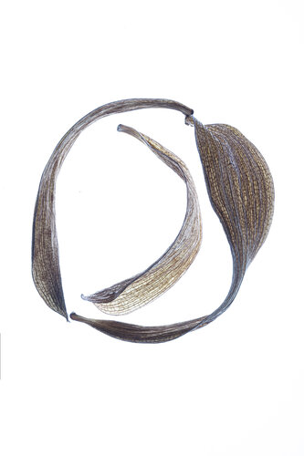 "Calligraphy", 37 par Yuri Brodsky, Photographie en vente sur Singulart