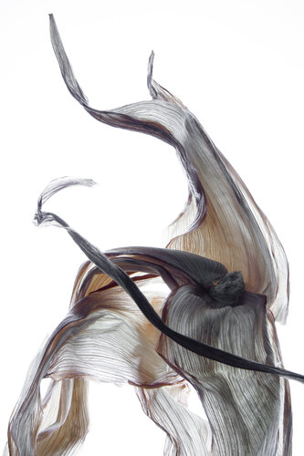 "Calligraphy", 19 par Yuri Brodsky, Photographie en vente sur Singulart