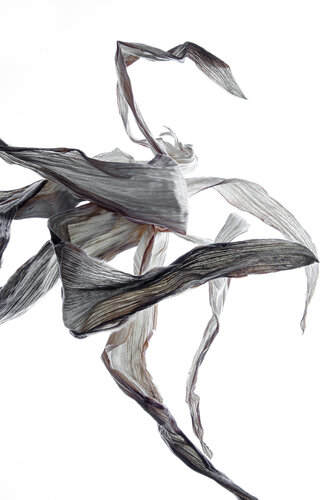 "Calligraphy", 20 par Yuri Brodsky, Photographie en vente sur Singulart