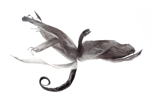 "Calligraphy", 22 par Yuri Brodsky, Photographie en vente sur Singulart