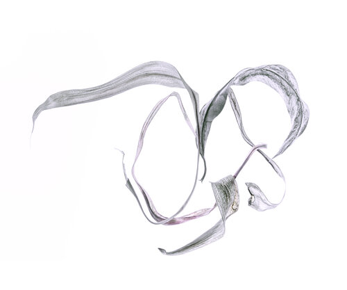 "Calligraphy", 17 par Yuri Brodsky, Photographie en vente sur Singulart