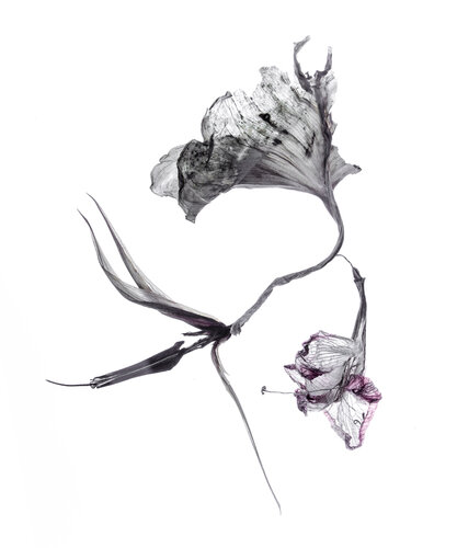 Calligraphy, 24 par Yuri Brodsky, Photographie en vente sur Singulart