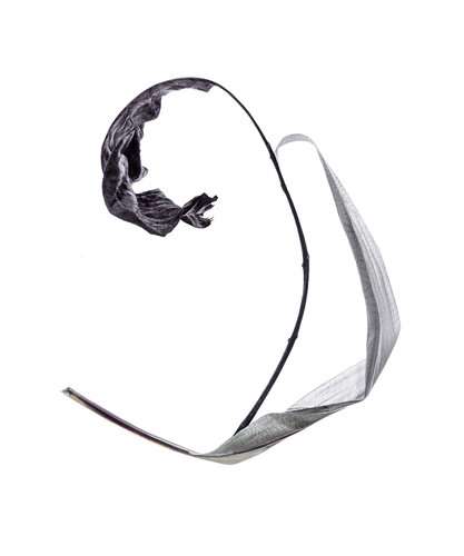 Calligraphy, 27 par Yuri Brodsky, Photographie en vente sur Singulart