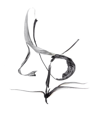 Calligraphy, 29 par Yuri Brodsky, Photographie en vente sur Singulart