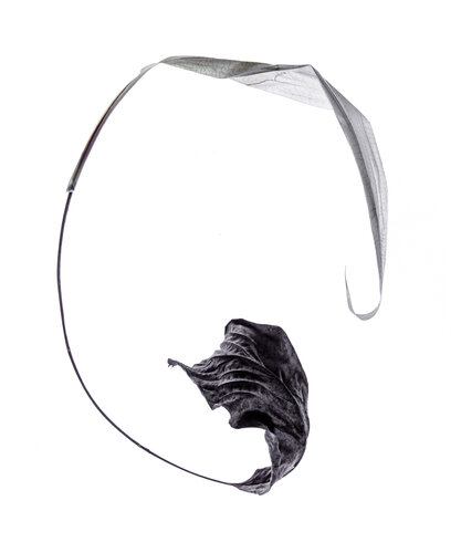 Calligraphy, 28 par Yuri Brodsky, Photographie en vente sur Singulart