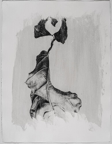 Bestiarium. Form 13 von Yuri Brodsky, Fotografie kaufen auf Singulart