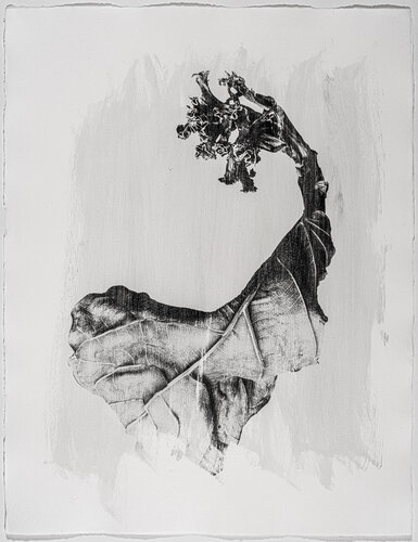 Bestiarium. Form 14 di Yuri Brodsky, Fotografia in vendita su Singulart