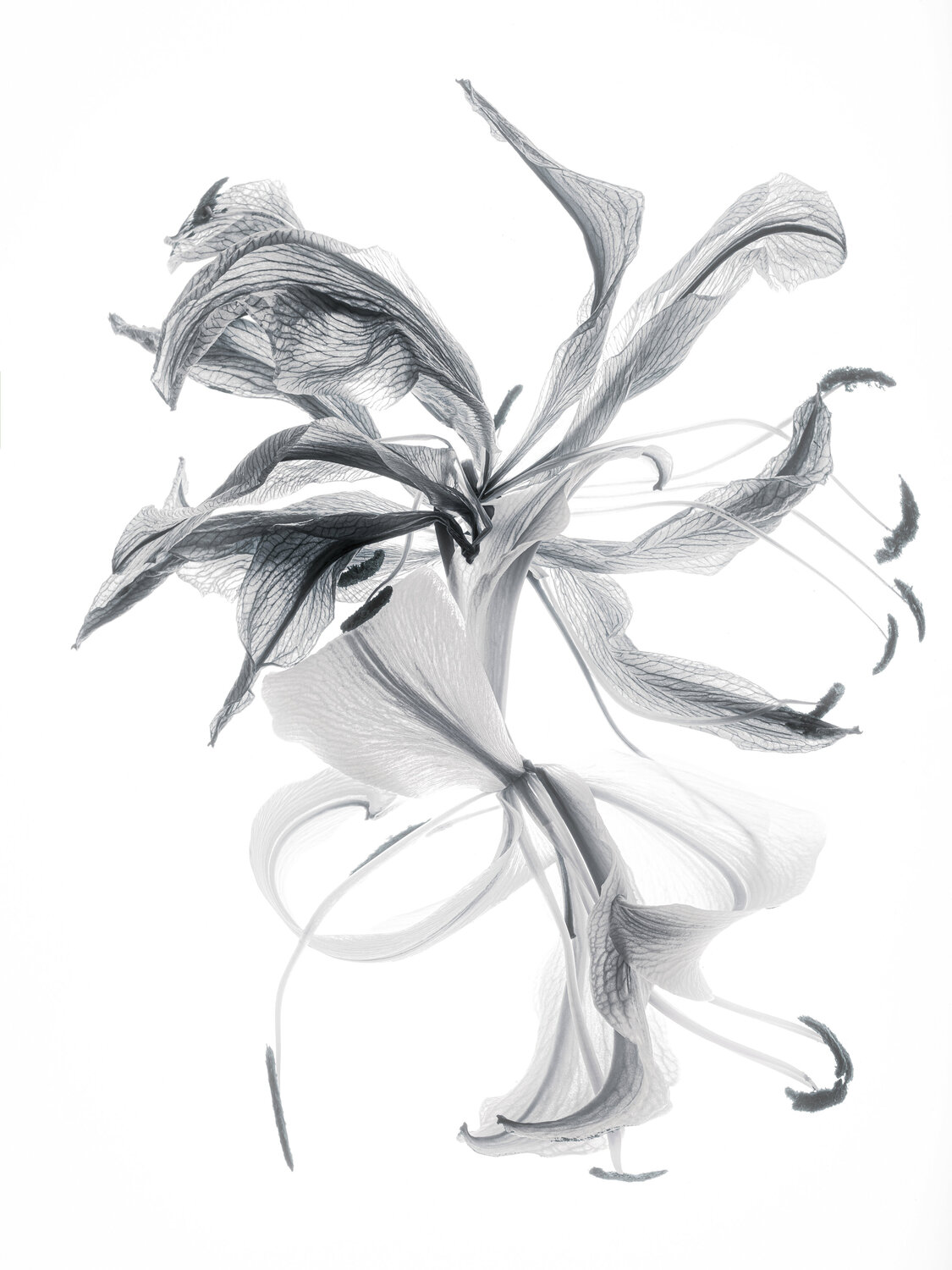 "Calligraphy", 22 Yuri Brodsky