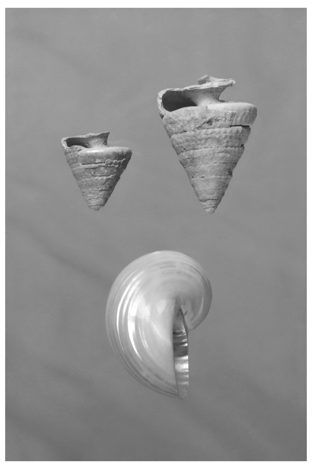 Calligraphy. 2000. 12 Yuri Brodsky