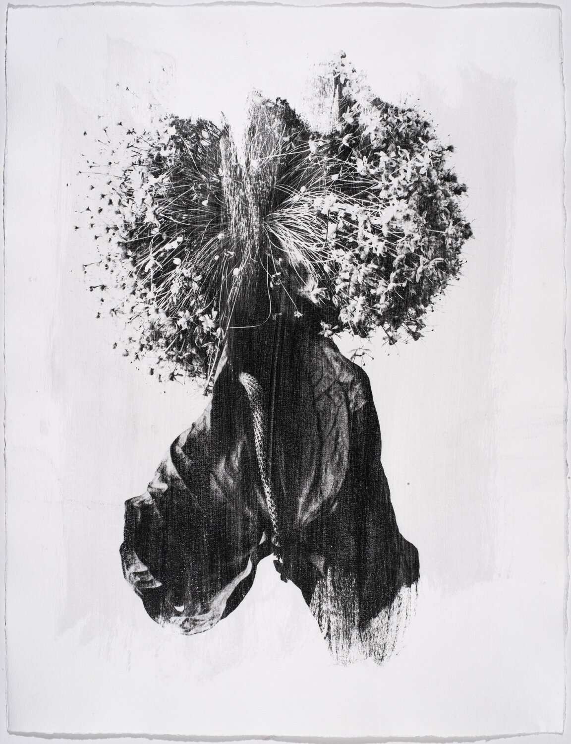 Herbarium . 2004. 14 Yuri Brodsky