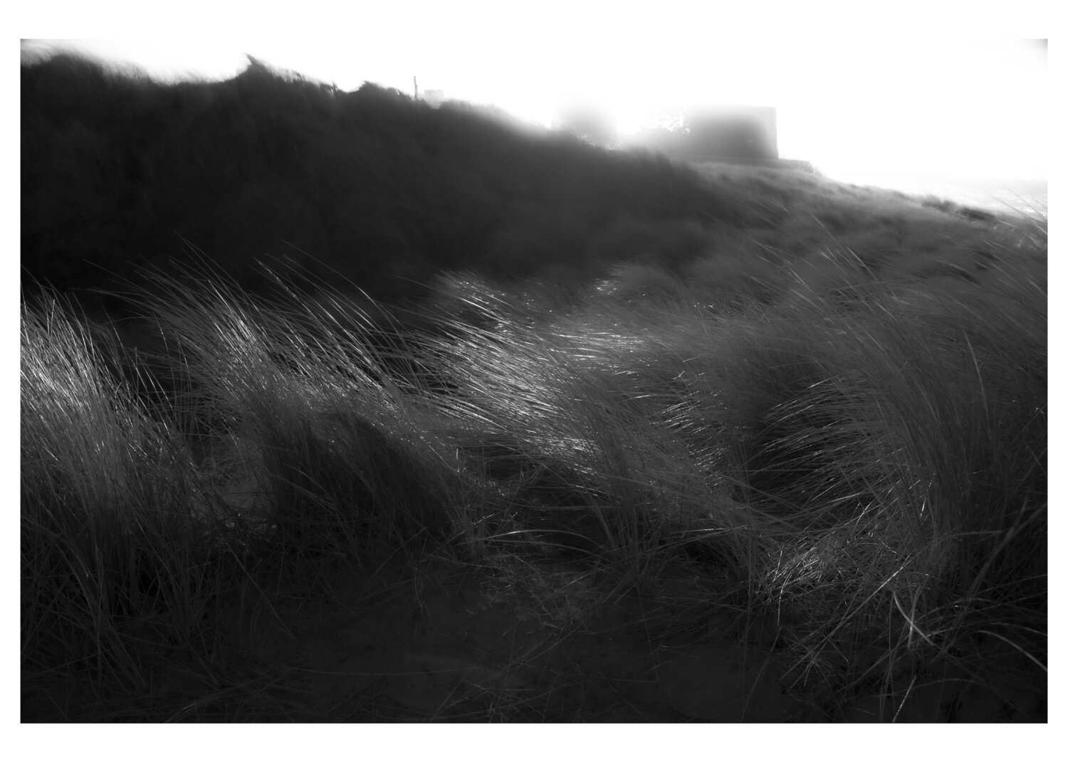 Transition 3 2023 Yuri Brodsky