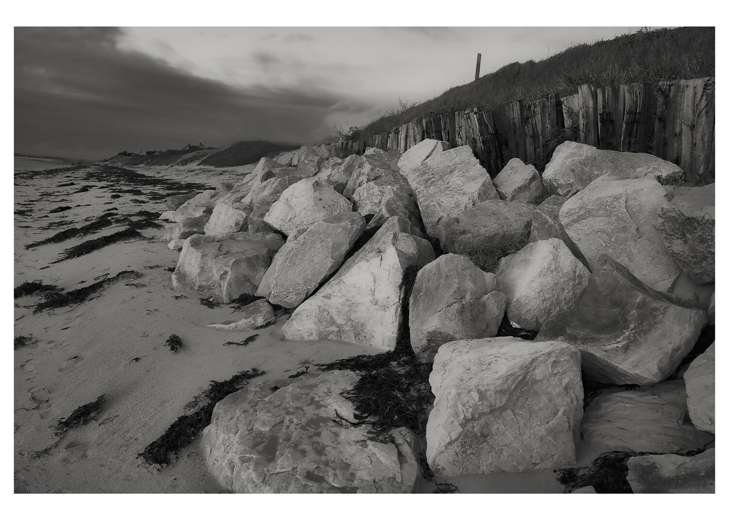 Transition 9 2023 Yuri Brodsky