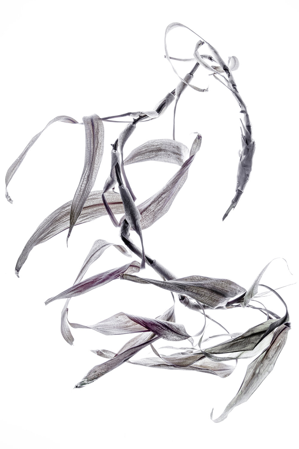 "Calligraphy", 21 Yuri Brodsky