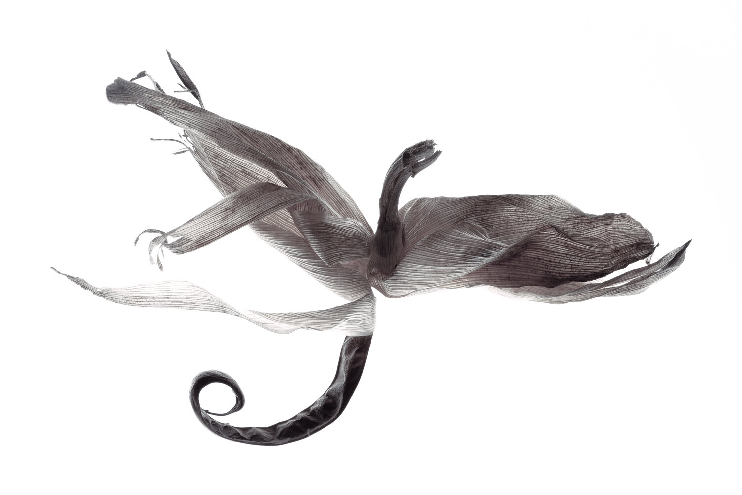 "Calligraphy", 22 Yuri Brodsky