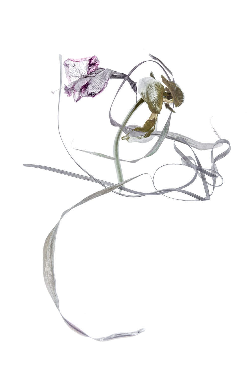 Calligraphy, 81 Yuri Brodsky