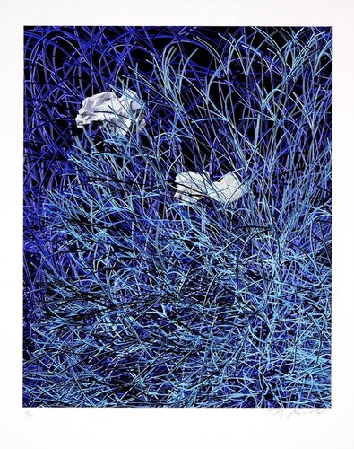 Paper in blue wires von Pia Myrvold, Druck kaufen auf Singulart