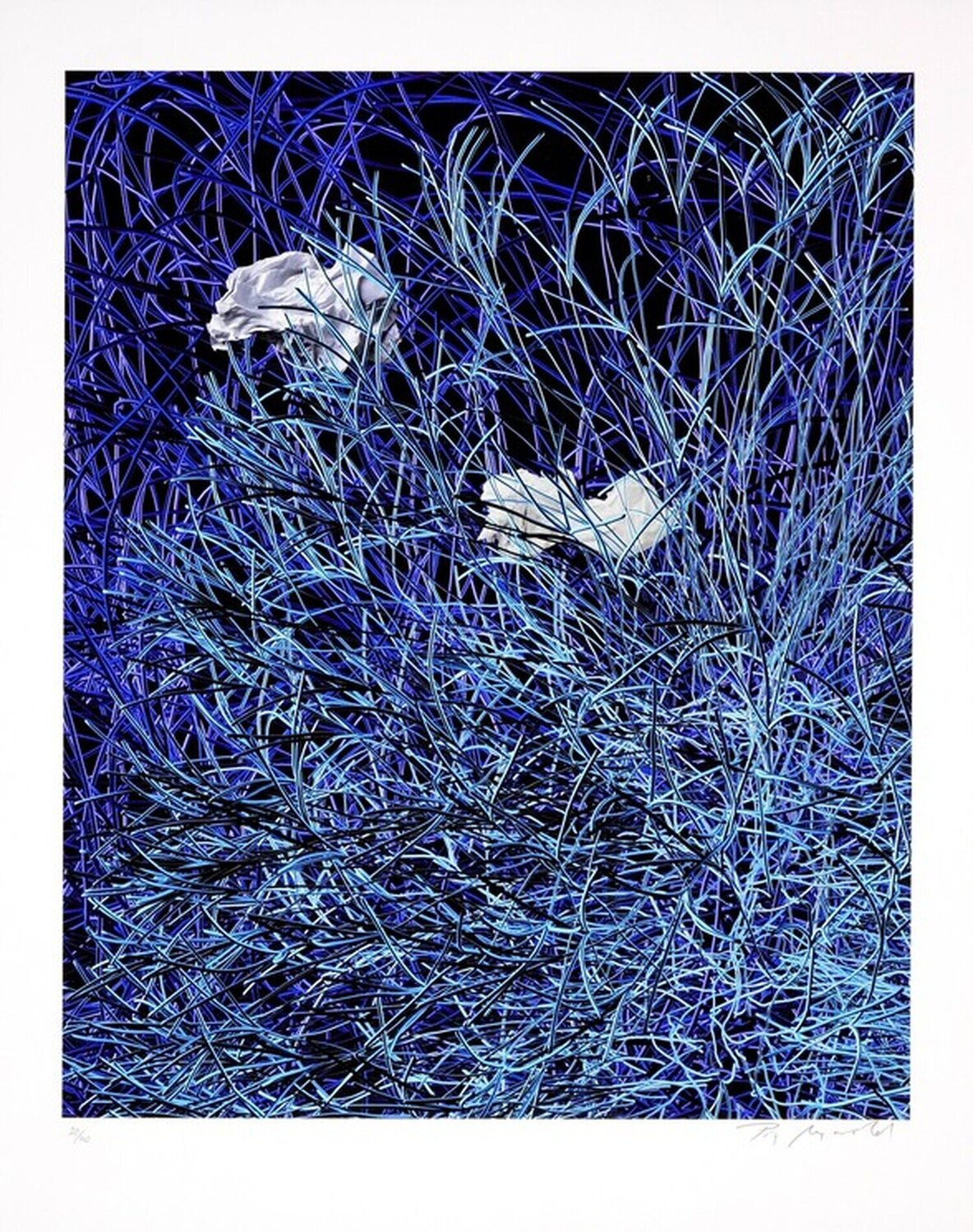 Paper in blue wires Pia Myrvold Druck zu verkaufen