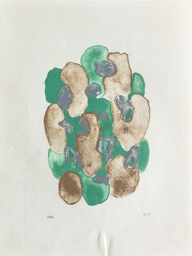 Lichens 3 by Yves Chaudouët, Print for Sale on Singulart
