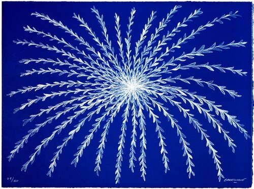 Étoile végétale van Philippe Baudelocque, Afdruk te koop op Singulart